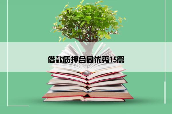 借款质押合同优秀15篇