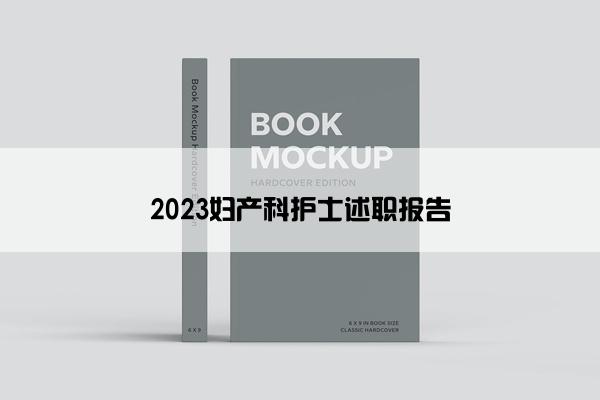 2023妇产科护士述职报告