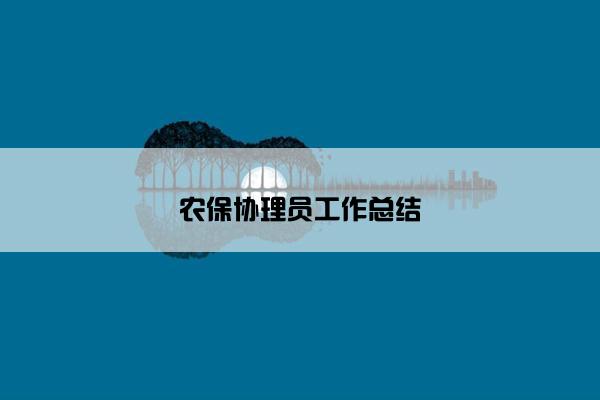 农保协理员工作总结