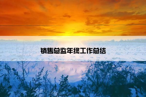 销售总监年终工作总结
