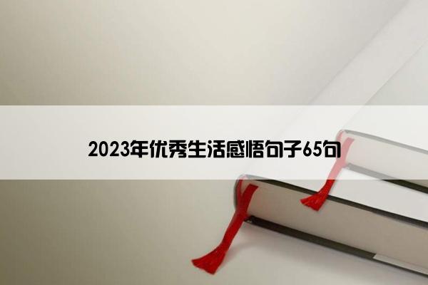 2023年优秀生活感悟句子65句