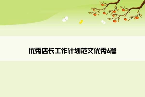 优秀店长工作计划范文优秀6篇