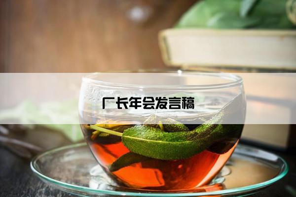 厂长年会发言稿