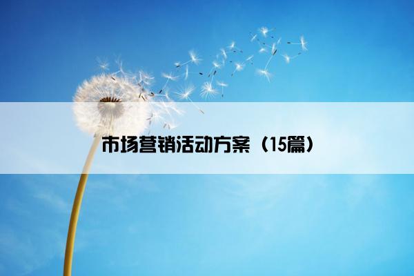 市场营销活动方案（15篇）