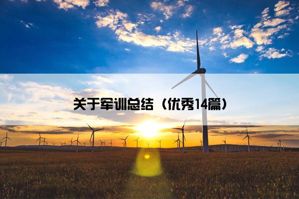 关于军训总结（优秀14篇）