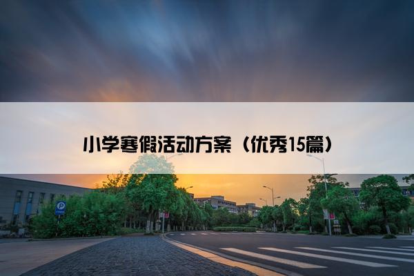 小学寒假活动方案（优秀15篇）