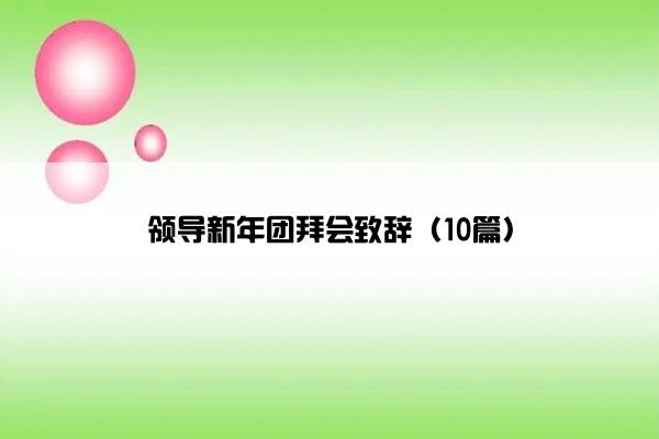 领导新年团拜会致辞（10篇）