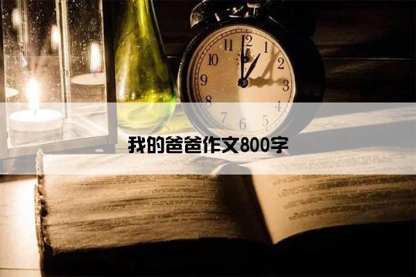 我的爸爸作文800字