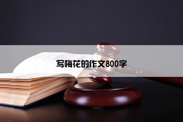 写梅花的作文800字