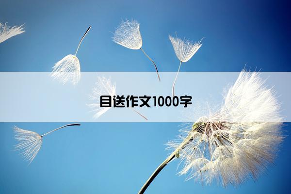 目送作文1000字