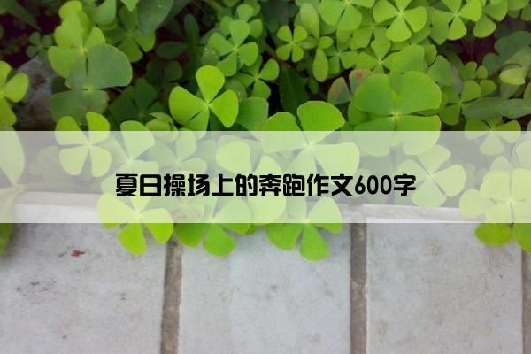 夏日操场上的奔跑作文600字