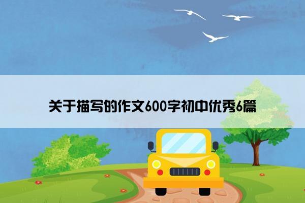关于描写的作文600字初中优秀6篇