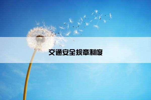 交通安全规章制度