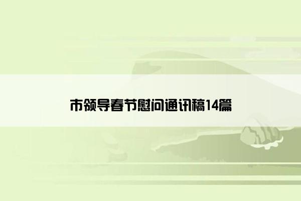 市领导春节慰问通讯稿14篇