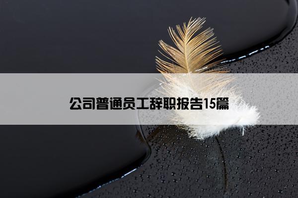 公司普通员工辞职报告15篇