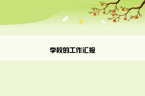 学校的工作汇报