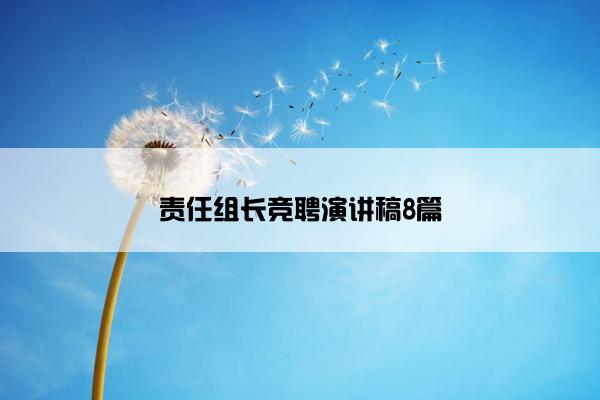 责任组长竞聘演讲稿8篇