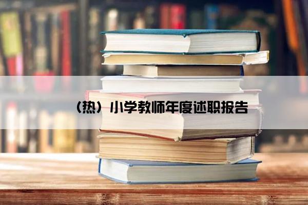 （热）小学教师年度述职报告