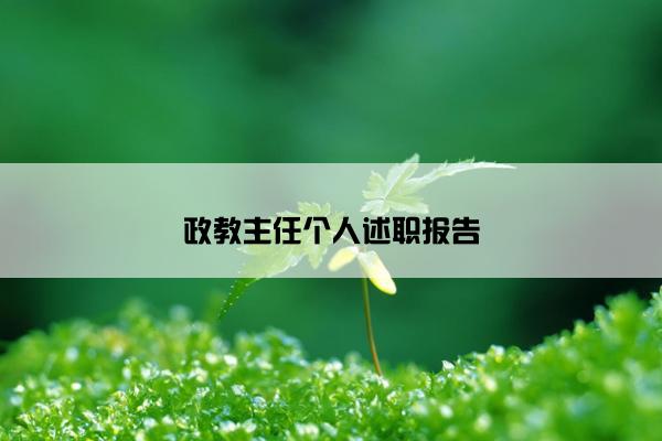 政教主任个人述职报告