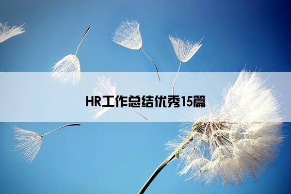 HR工作总结优秀15篇