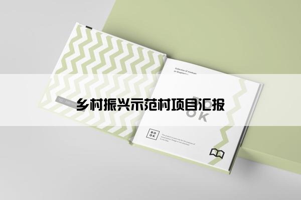 乡村振兴示范村项目汇报