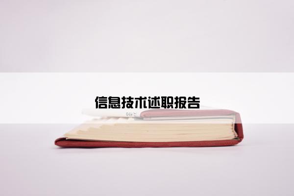 信息技术述职报告