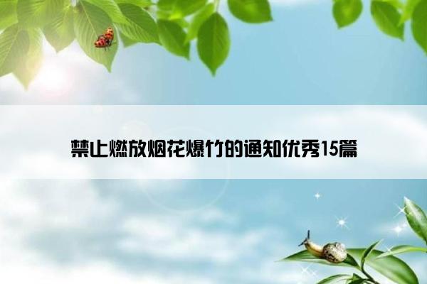 禁止燃放烟花爆竹的通知优秀15篇