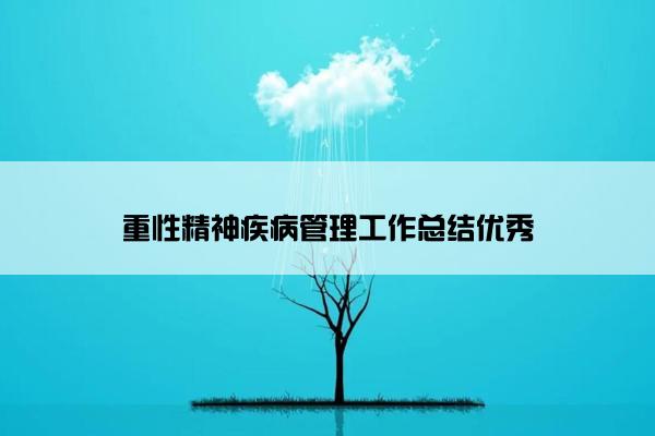 重性精神疾病管理工作总结优秀