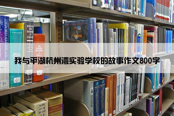 我与平湖杭州湾实验学校的故事作文800字