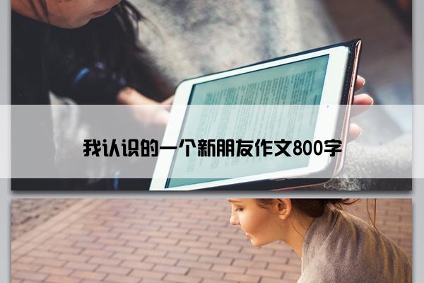 我认识的一个新朋友作文800字