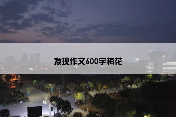 发现作文600字梅花