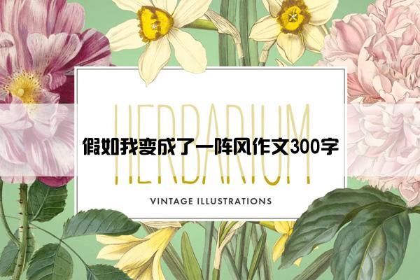 假如我变成了一阵风作文300字