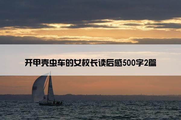 开甲壳虫车的女校长读后感500字2篇