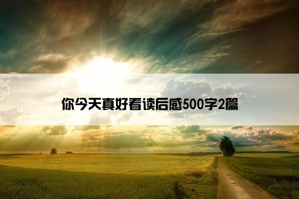 你今天真好看读后感500字2篇 你今天真好看读后感500字2篇