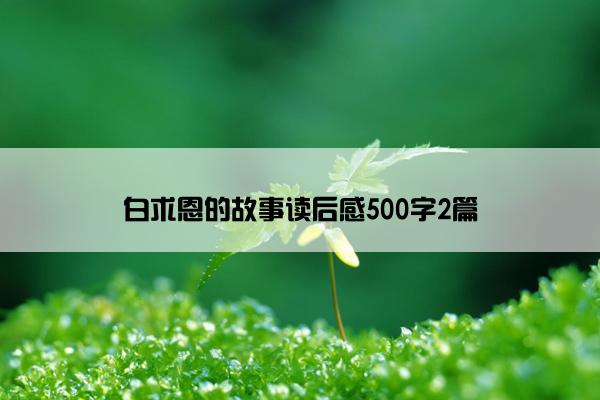 白求恩的故事读后感500字2篇 白求恩的故事读后感500字2篇