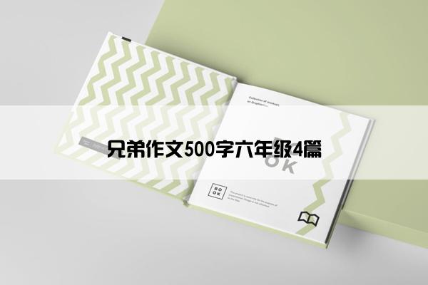 兄弟作文500字六年级4篇