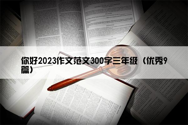 你好2023作文范文300字三年级（优秀9篇）