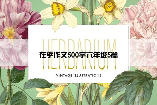 在乎作文500字六年级5篇