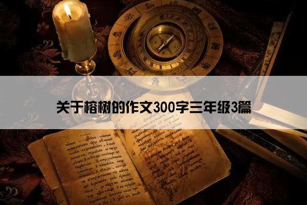 关于榕树的作文300字三年级3篇