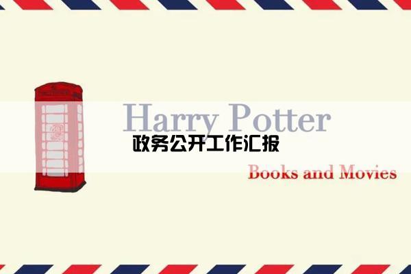 政务公开工作汇报
