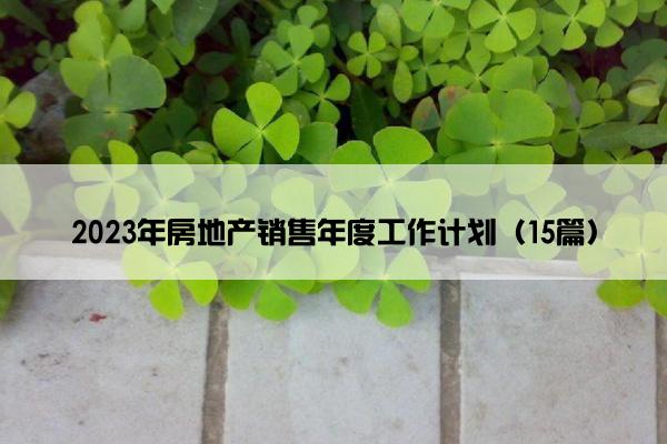 2023年房地产销售年度工作计划（15篇）