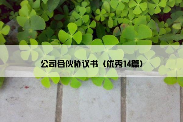 公司合伙协议书（优秀14篇）