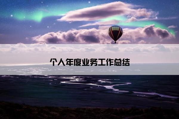 个人年度业务工作总结
