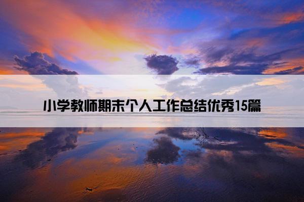 小学教师期末个人工作总结优秀15篇
