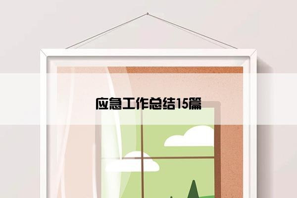 应急工作总结15篇