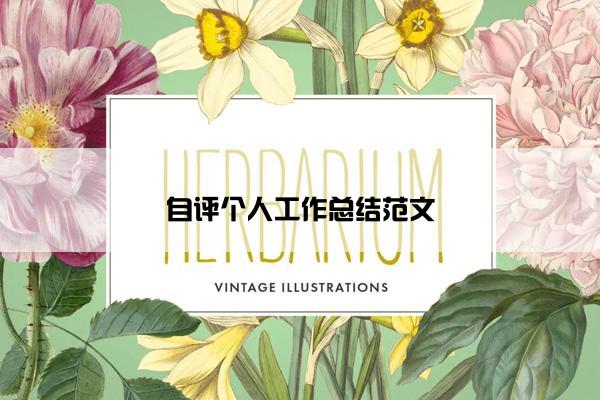 自评个人工作总结范文