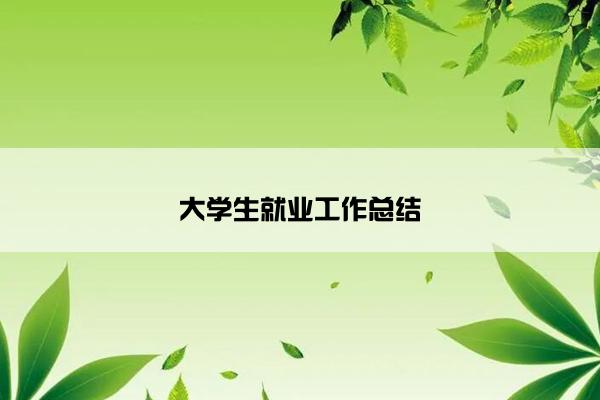 大学生就业工作总结