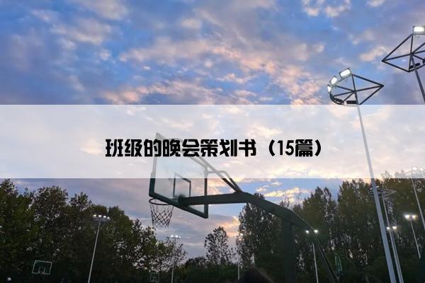 班级的晚会策划书（15篇）
