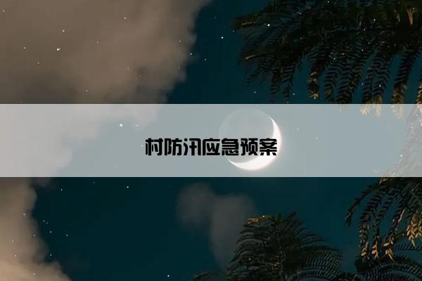 村防汛应急预案