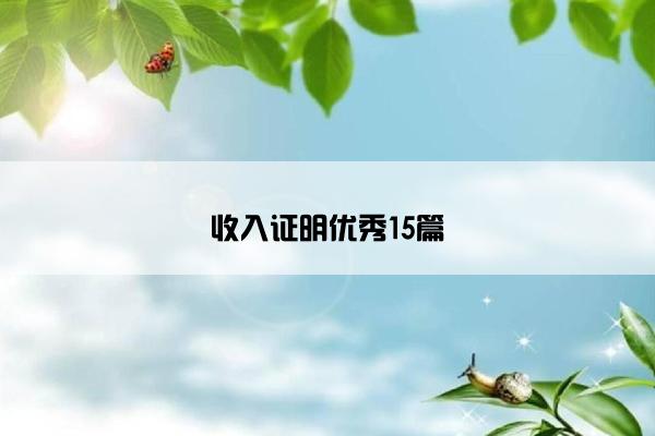 收入证明优秀15篇